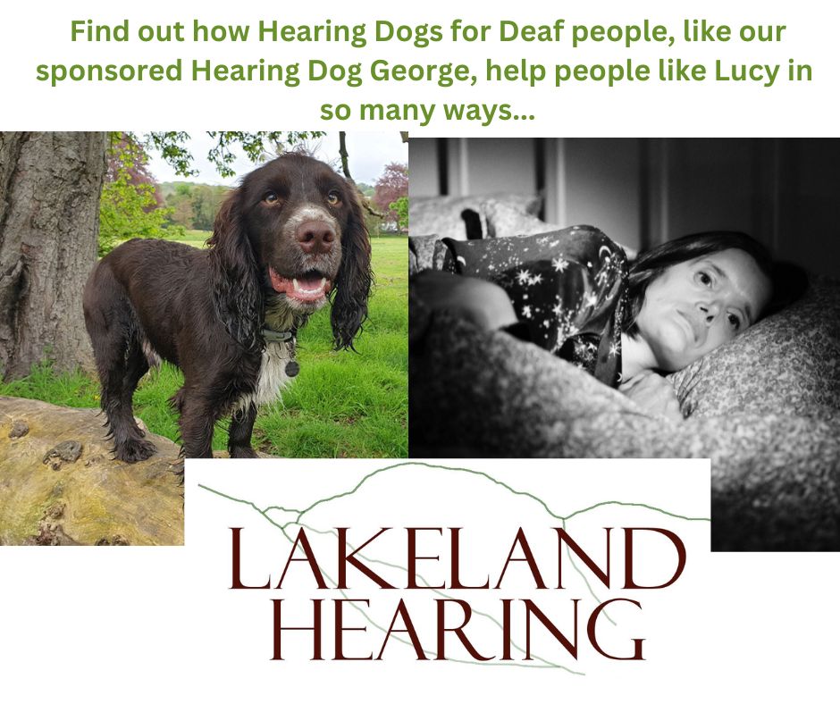 Why we sponsor Hearing Dog George